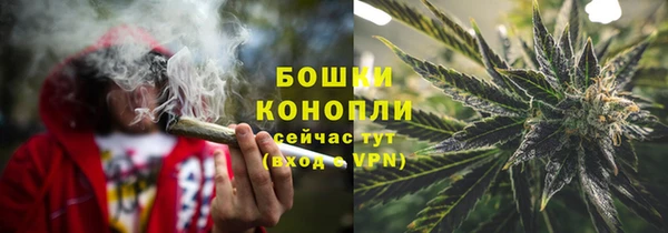 ГАЛЛЮЦИНОГЕННЫЕ ГРИБЫ Аша