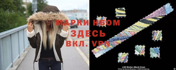 PSILOCYBIN Нязепетровск