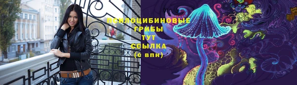 МДМА Новодвинск
