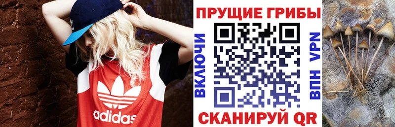 hydra рабочий сайт  Юрга  Галлюциногенные грибы Cubensis  наркота 