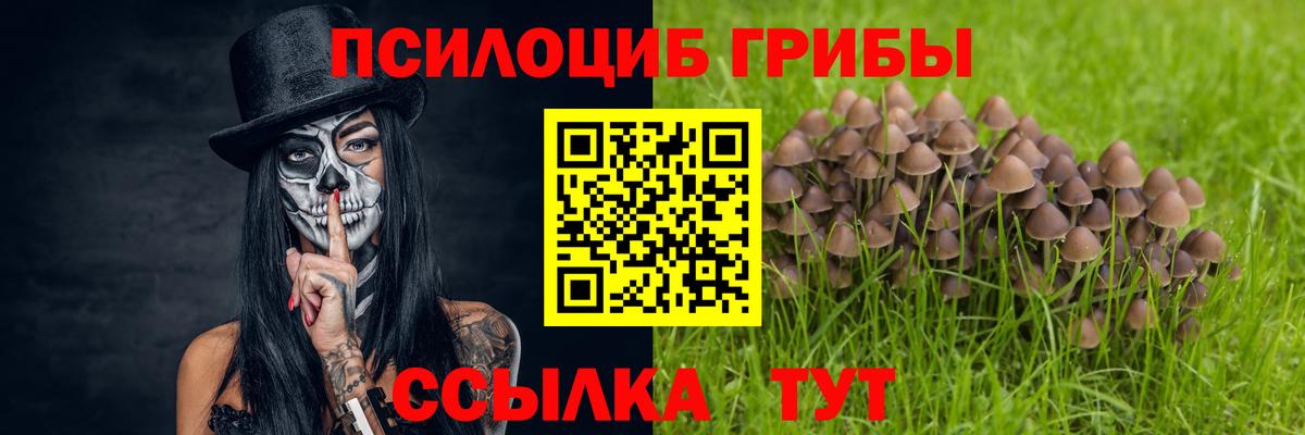 Псилоцибиновые грибы прущие грибы Юрга