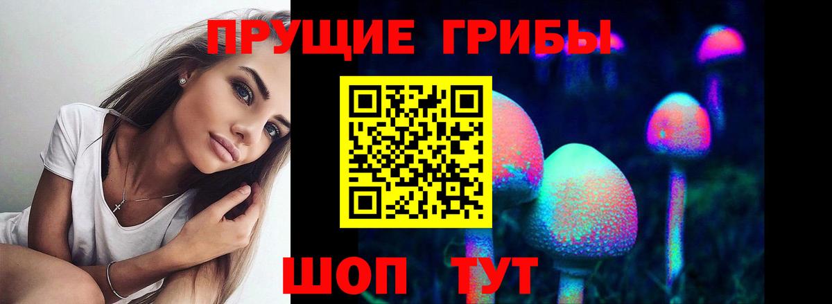 Псилоцибиновые грибы Psilocybine cubensis  Псилоцибиновые грибы Cubensis  Вход с VPN  Юрга 